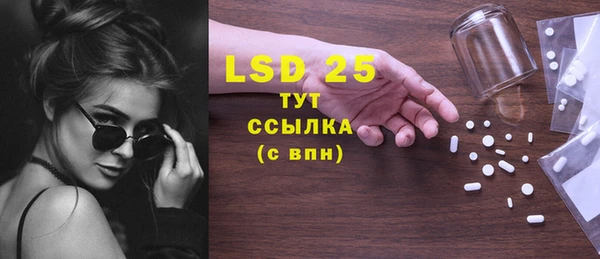 индика Баксан
