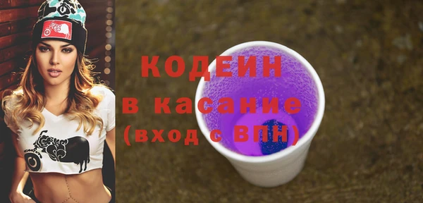 индика Баксан