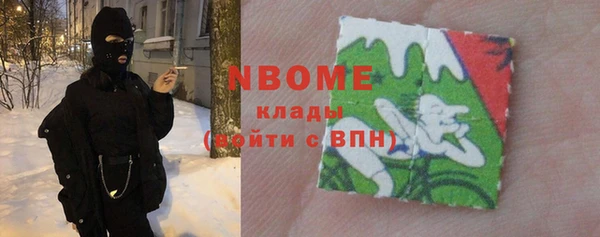 индика Баксан