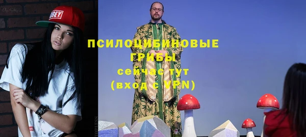 твердый Балахна