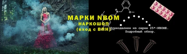 индика Баксан