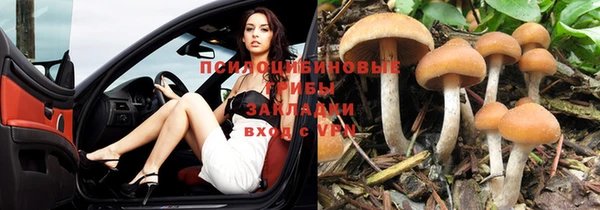 прущий лед Балабаново