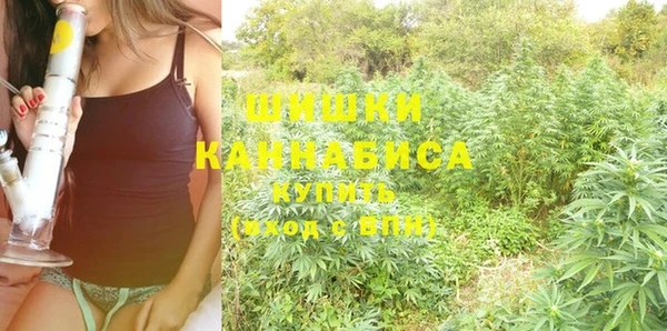 трава Слюдянка