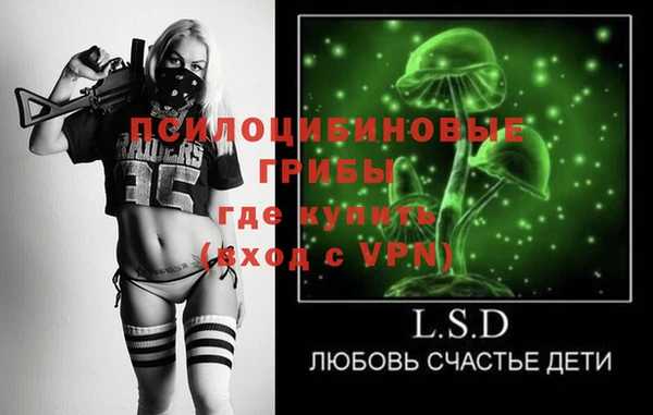 твердый Балахна