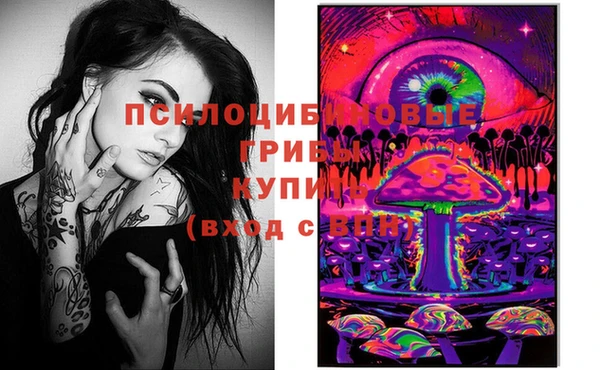 индика Баксан